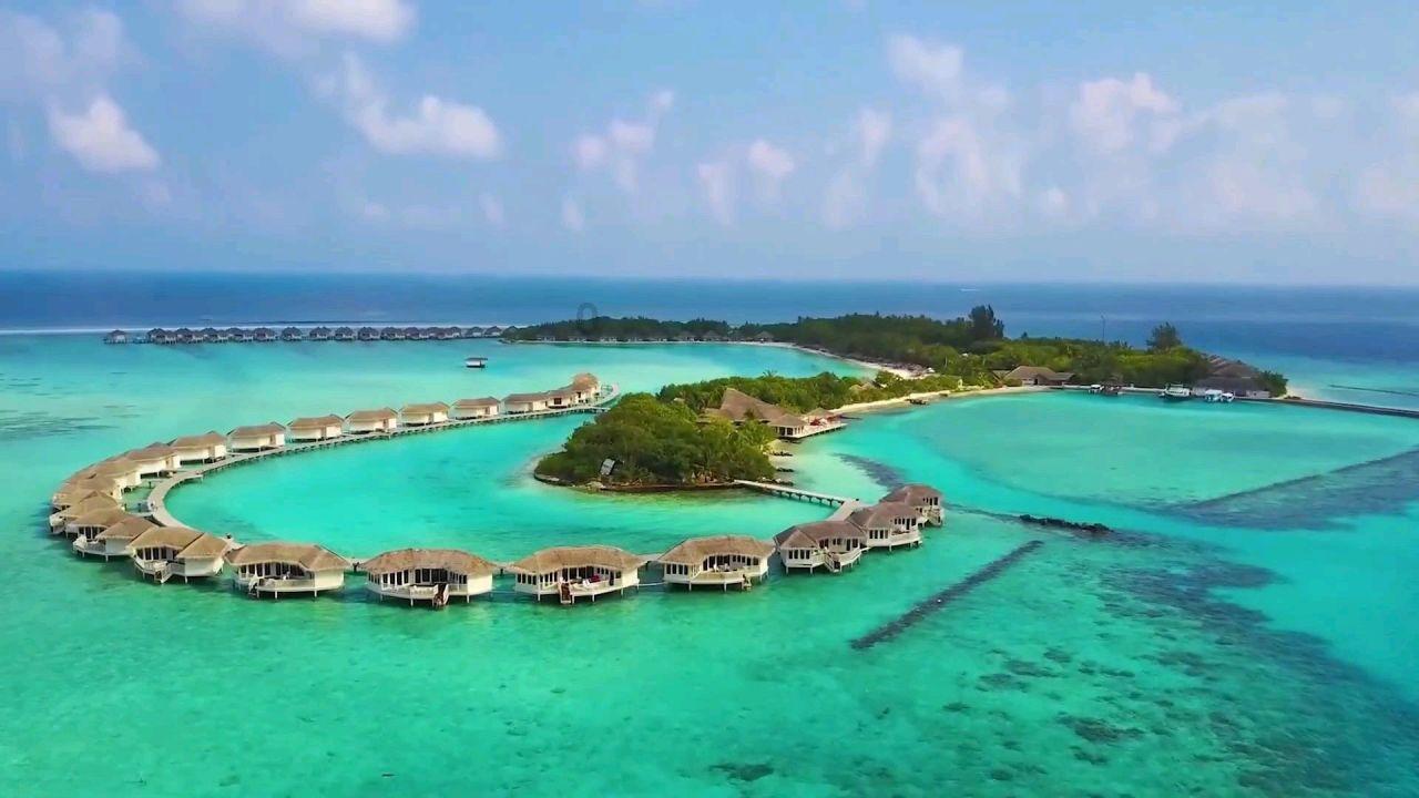 中集环科:第二届第二次董事会会议于2024年1月17日召开